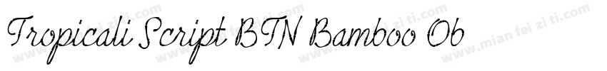 Tropicali Script BTN Bamboo Oblique字体转换